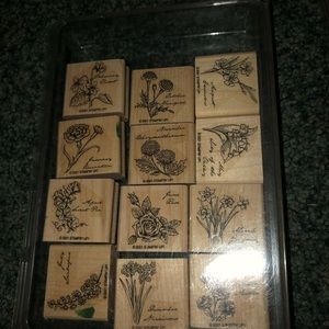 Stampin Up! Flower of the Month